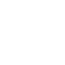 Icône